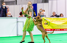 Собаки из приюта «Поводог» собрали все награды на профессиональных соревнованиях